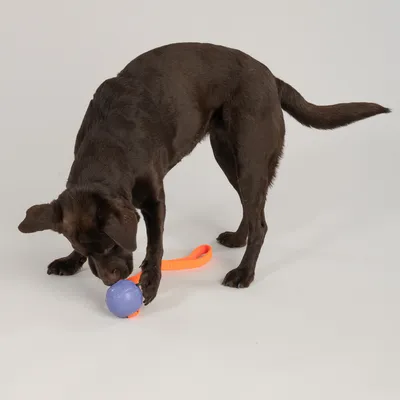 Nomad Tales Spirit Spielball mit Gummizug