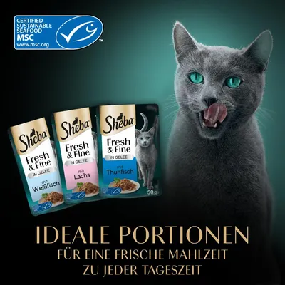 Sheba Fresh & Fine in Gelee mit Weissfisch, Lachs und Thunfisch. Zertifiziert nachhaltige Meeresfrüchte MSC. Ideale Portionen für eine frische Mahlzeit zu jeder Tageszeit.