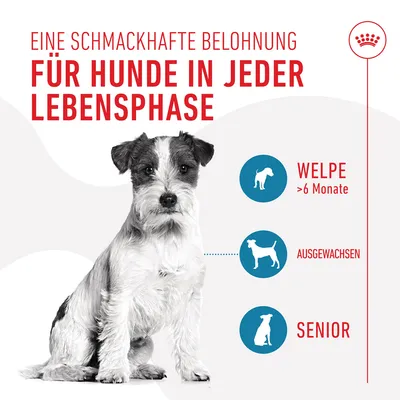 Royal Canin Training Treats