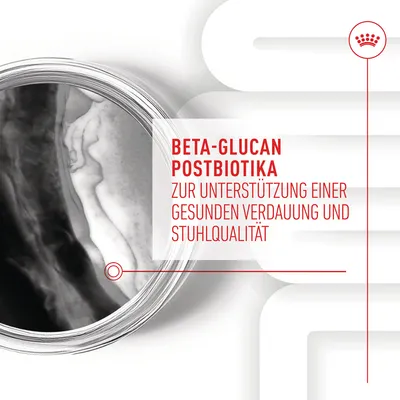 Beta-Glucan Postbiotika zur Unterstützung einer gesunden Verdauung und Stuhlqualität.