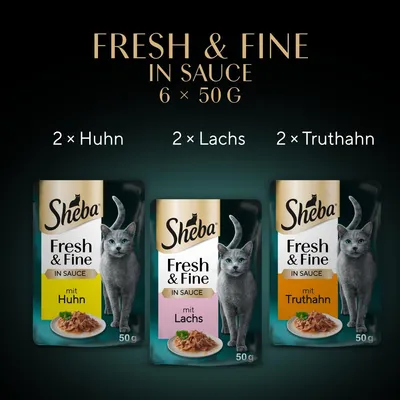 Sheba Fresh & Fine in Sauce, 6 x 50g. Sorten: 2 x Huhn, 2 x Lachs, 2 x Truthahn. Verpackung zeigt graue Katze und jeweilige Geschmacksrichtung.