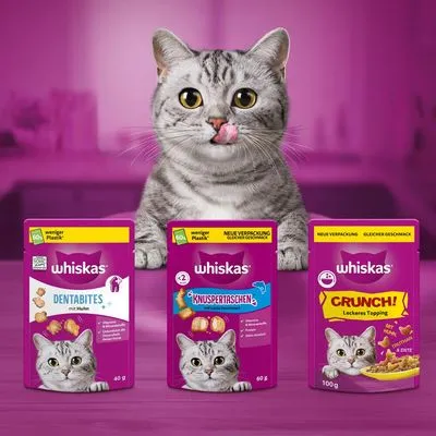 Drie Whiskas kattensnacks: Dentabites met kip 40g, Knuspertaschen <2 kcal 60g, Crunch! Leckeres Topping 100g. Op elke verpakking staat een grijze kat en de tekst 'minder plastic'.