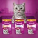 Friandises Whiskas Dentabites pour chat