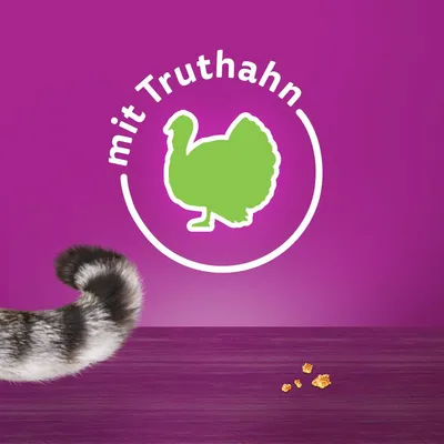 Mit Truthahn. Grünes Truthahnsymbol auf violettem Hintergrund, Katzenpfote und Futterstückchen sichtbar.