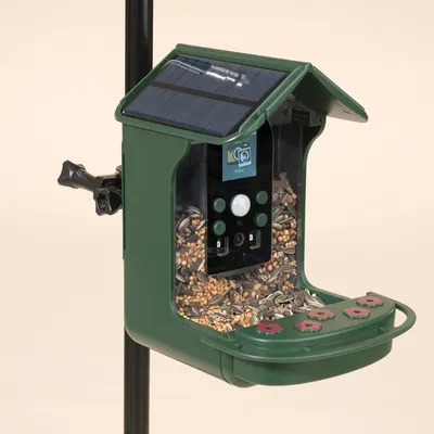 TIAKI Vogelfutterspender mit Kamera