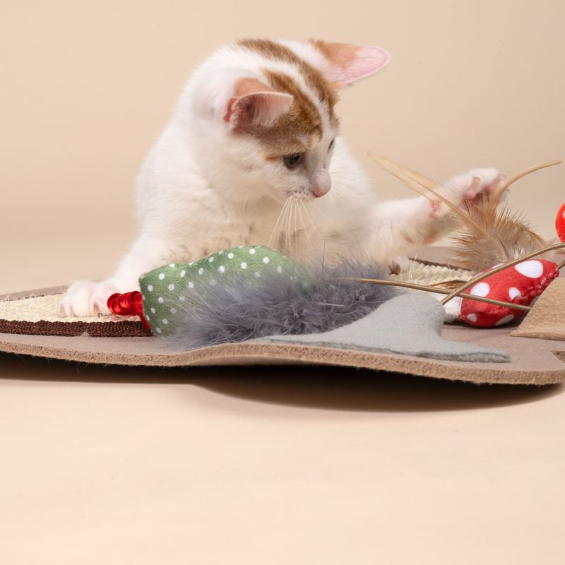 TIAKI Schnüffelmatte Pfote für Katzen