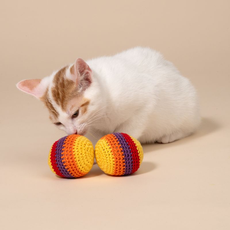 TIAKI Hacky Sacks til katte