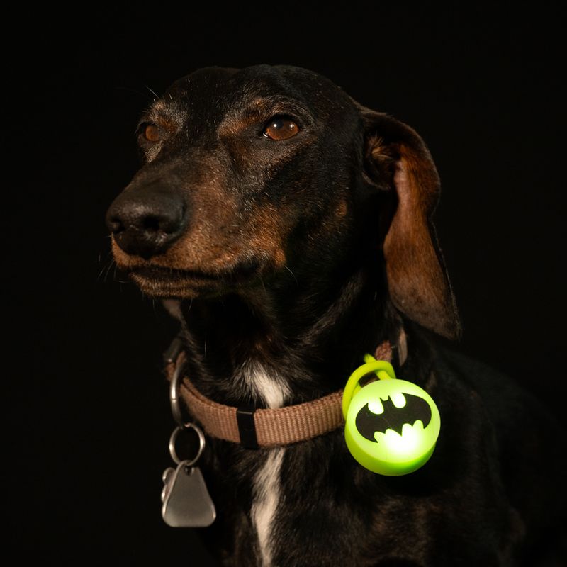 DC Batman Halsbandlamp