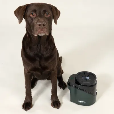 kooa Automatic Paw Cleaner