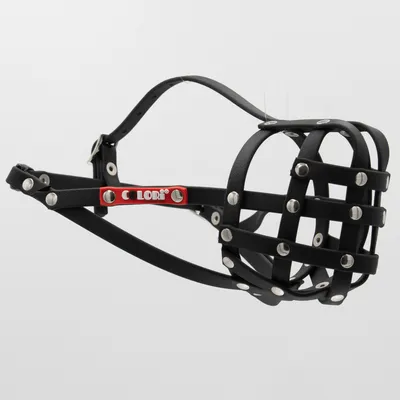 COLORI® 2.0 Muselière Chien de berger M, noir