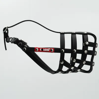 COLORI® 2.0 Muselière Chien de berger M, noir