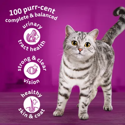 Testo in inglese: 100 purr-cent complete & balanced, urinary tract health, strong & clear vision, healthy skin & coat. Gatto grigio su sfondo viola.