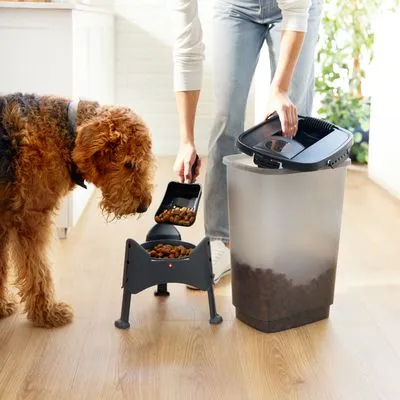 Hond eet brokken uit voerbak, persoon schept hondenvoer uit grote kunststof voorraadcontainer met zwart deksel. Voerbak op standaard, container deels gevuld met brokken.