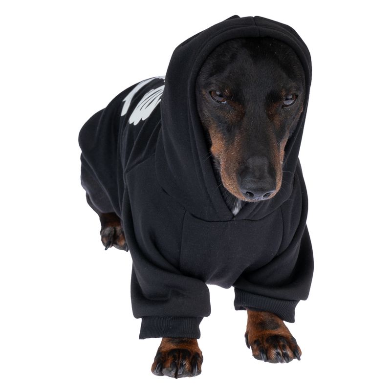 TIAKI Leuchtender Skelett-Hoodie für Hunde