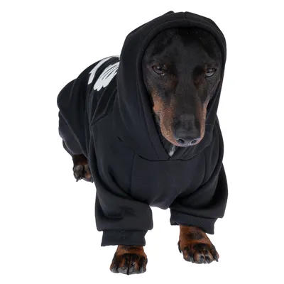 Hund trägt schwarzen Hoodie mit Kapuze und weißem Aufdruck. Produkt zeigt Kleidung für Haustiere.