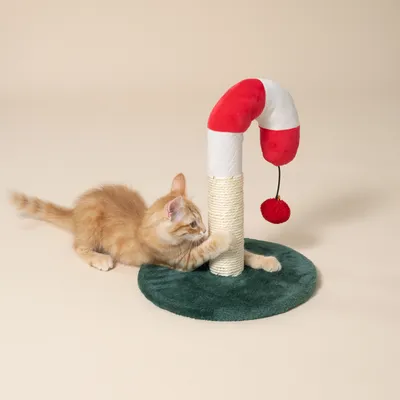 Kratzspielzeug in Zuckerstangenform mit rotem und weissem Stoff, Sisal-Kratzfläche und grünem Standfuss. Rote Bommel als Spielzeug. Katze interagiert mit dem Kratzbereich.