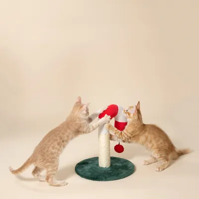 Zwei Katzen spielen mit einem Kratzbaum, der eine rote und weisse Plüschfigur sowie einen roten Ball enthält.