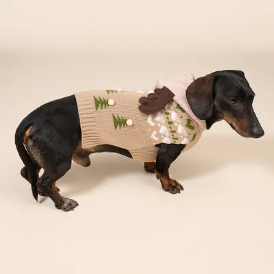 TIAKI Pulover ren pentru câini