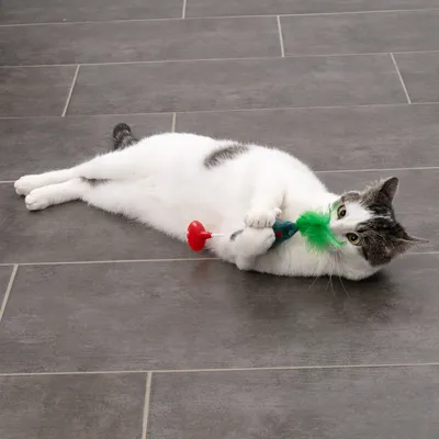 TIAKI Katzenspielzeug Weihnachtsbaum