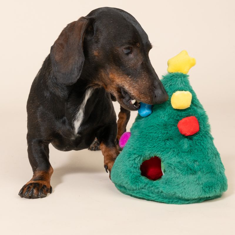 TIAKI Hundespielzeug Geschenkebaum