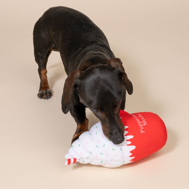 TIAKI Hundespielzeug "Puppermint Mocha"