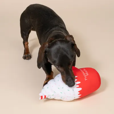 TIAKI hondenspeeltje "Puppermint Mokka