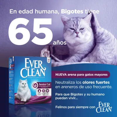 Texto: En edad humana, Bigotes tiene 65 años. NUEVA arena para gatos mayores. Neutraliza los olores fuertes en areneros de uso frecuente. Ever Clean Senior Cat 7+ años.