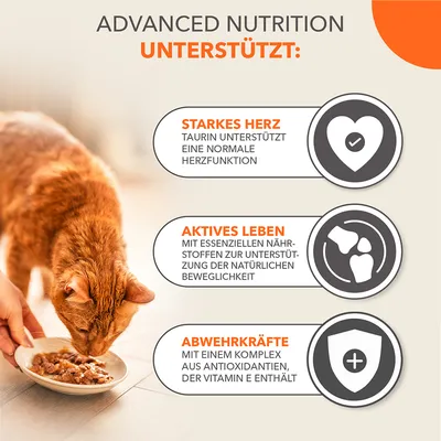 Texte en allemand : Starkes Herz, Aktives Leben, Abwehrkräfte. Chat roux mangeant dans une assiette. Texte principal : Advanced Nutrition unterstützt.