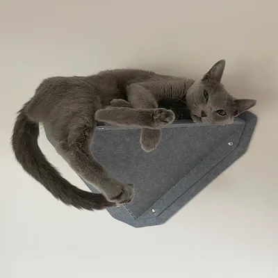 Graue Wandliege aus Filz mit einer Katze darauf, geeignet für die Montage an der Wand.