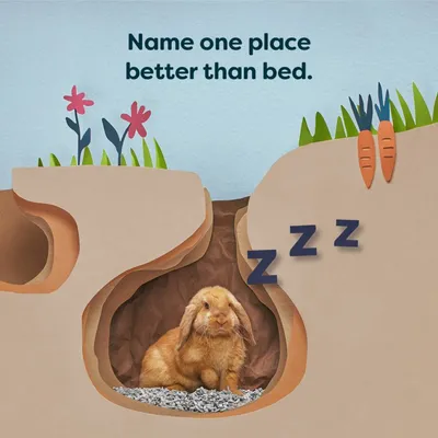 Illustration of a rabbit sitting in a burrow with the text 'Name one place better than bed' and three letter Zs indicating sleep.