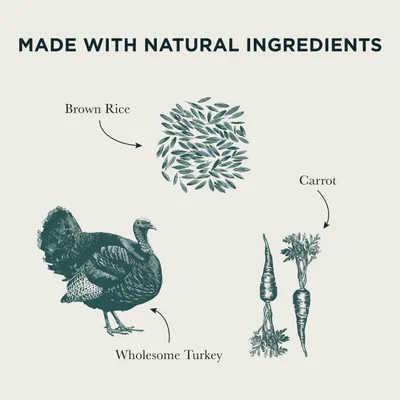 Burns Wet Food for Dogs 16 x 395g - Wholesome Turkey with Carrots & Brown Rice Burns Wet Food for Dogs 16 x 395g - Wholesome Turkey with Carrots & Brown Rice