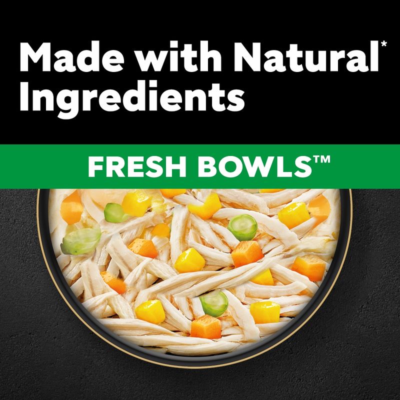 Cesar Fresh Bowls in Gravy 10 x 85g