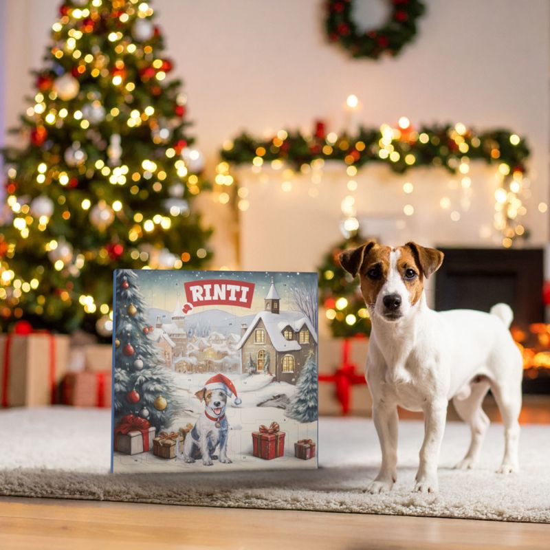 RINTI Chicko adventný kalendár