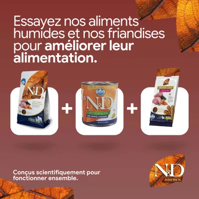 Trois produits N&D Brown : croquettes, aliment humide à la citrouille et friandises dental. Texte : Essayez notre alimentation humide et nos friandises pour améliorer la nutrition. Trois produits N&D Brown : croquettes, aliment humide à la citrouille et friandises dental. Texte : Essayez notre alimentation humide et nos friandises pour améliorer la nutrition.