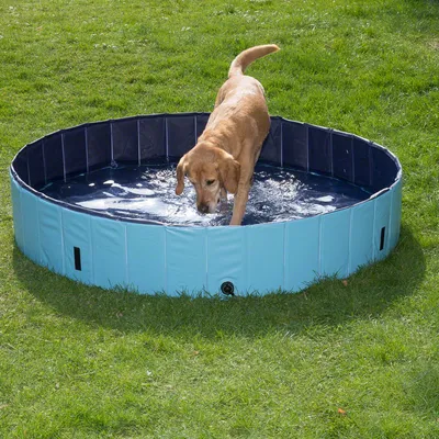 Piscina circular plegable de plástico azul para perros, colocada sobre césped, con un perro dentro. Se observa válvula de drenaje en la parte inferior del lateral.