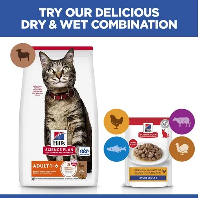 Hill's Science Plan Adult bárány & rizs