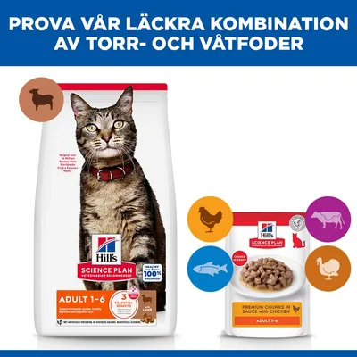 Hill's Science Plan Adult Lamb & Rice