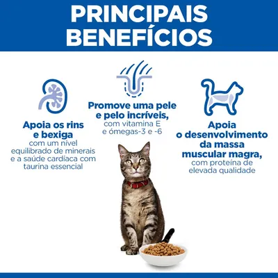 Hill's Science Plan Adult cordeiro e arroz