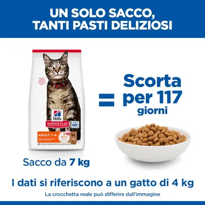 Hill's Science Plan Adult Agnello & Riso