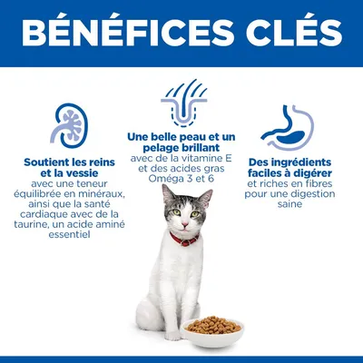 Avantages clés : soutien des reins et de la vessie, belle peau et fourrure brillante, ingrédients faciles à digérer selon le texte français. Chat représenté avec une gamelle. Avantages clés : soutien des reins et de la vessie, belle peau et fourrure brillante, ingrédients faciles à digérer selon le texte français. Chat représenté avec une gamelle.