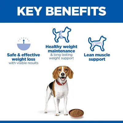 Hill's Canine Adult 1+ Perfect Weight csirke & zöldség