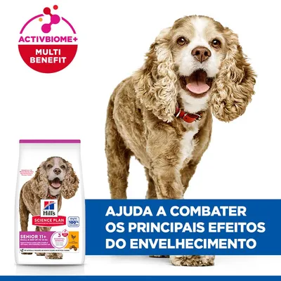 Hill's Science Plan Senior 11+ Small & Mini com frango