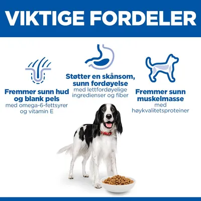 Hill's Science Plan Adult 1-6 Medium med Kylling