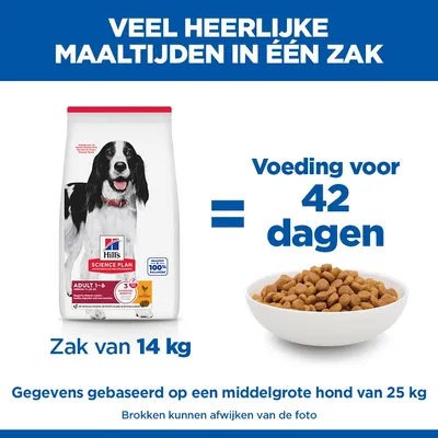 Hill's Science Plan Adult 1-6 Medium met Kip Hondenvoer