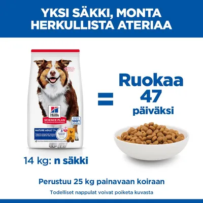 Hill's Science Plan Mature Adult 7+ Medium kana