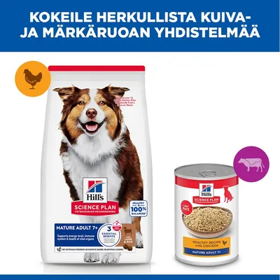 Hill's Science Plan Mature Adult 7+ Medium lammas & riisi