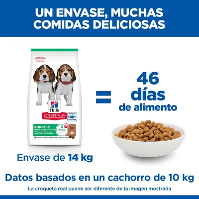 Hill's Science Plan Puppy <1 Medium con cordero y arroz