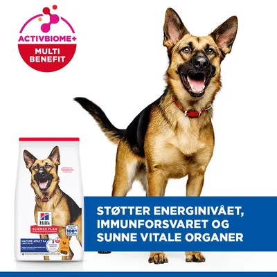 Hill's Science Plan Mature Adult 6+ Large med kylling