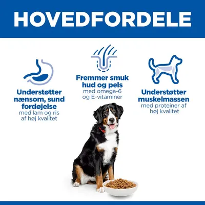 Hill's Science Plan Adult 1-5 Large Lam & Ris