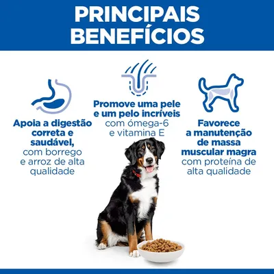 Hill's Science Plan Adult 1-5 Large com cordeiro e arroz